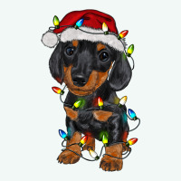 Dachshund Puppy Christmas Lights Premium Hoodie | Teevron