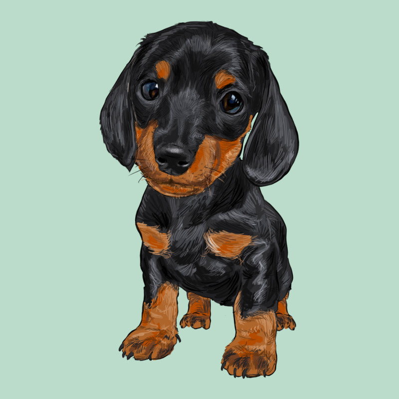 Dachshund Puppy Premium Hoodie by RanaPortraitStore | Teevron