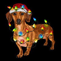 Dachshund With Christmas Lights Urban Hoodie | Teevron