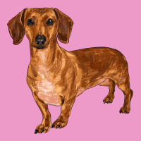 Dachshund Urban Hoodie | Teevron