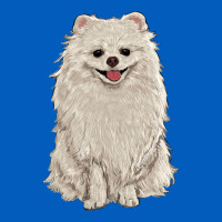 White Pomeranian Urban Hoodie | Teevron
