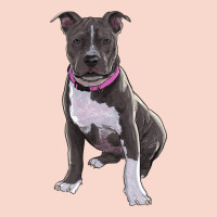 Pitbull Urban Hoodie | Teevron