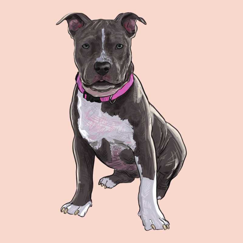 Pitbull Urban Hoodie by RanaPortraitStore | Teevron