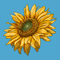 Sunflower Premium Hoodie | Teevron