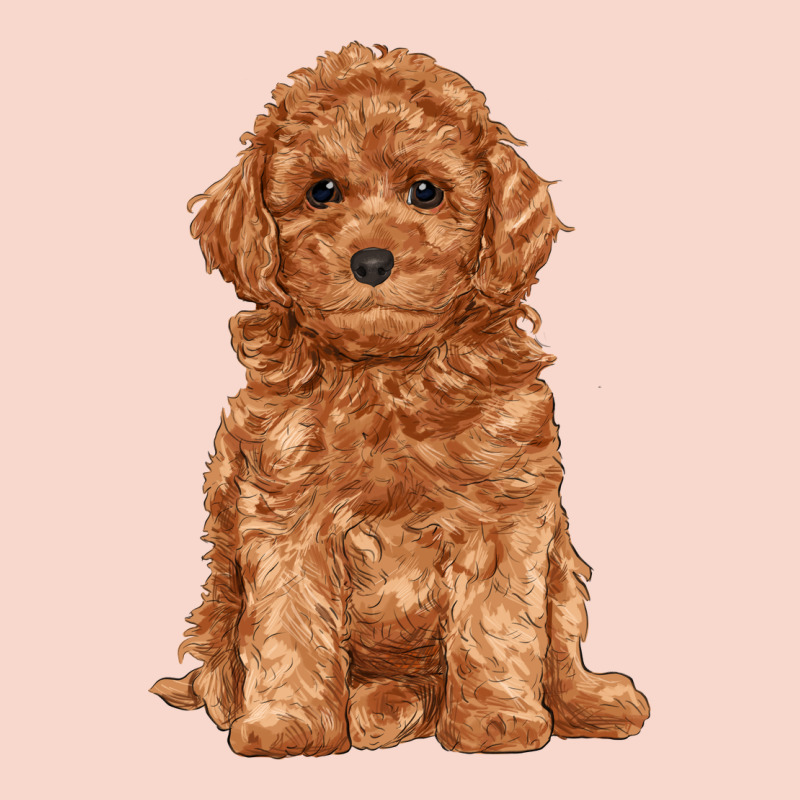 Toy Poodle Urban Hoodie by RanaPortraitStore | Teevron
