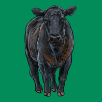 Black Angus Cattle Urban Hoodie | Teevron
