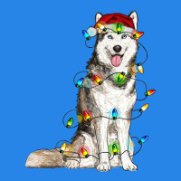 Husky With Christmas Lights Premium Hoodie | Teevron