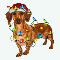 Dachshund With Christmas Lights Premium Hoodie | Teevron