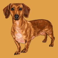 Dachshund Premium Hoodie | Teevron