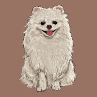 White Pomeranian Premium Hoodie | Teevron