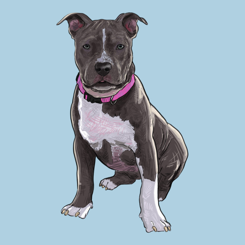 Pitbull Premium Hoodie by RanaPortraitStore | Teevron