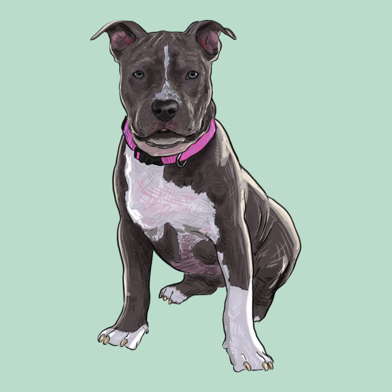 Pitbull Premium Hoodie by RanaPortraitStore | Teevron
