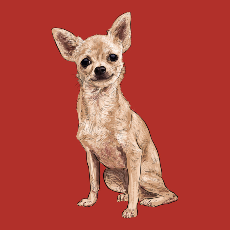 Chihuahua Premium Hoodie by RanaPortraitStore | Teevron