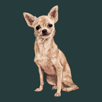 Chihuahua Premium Hoodie | Teevron