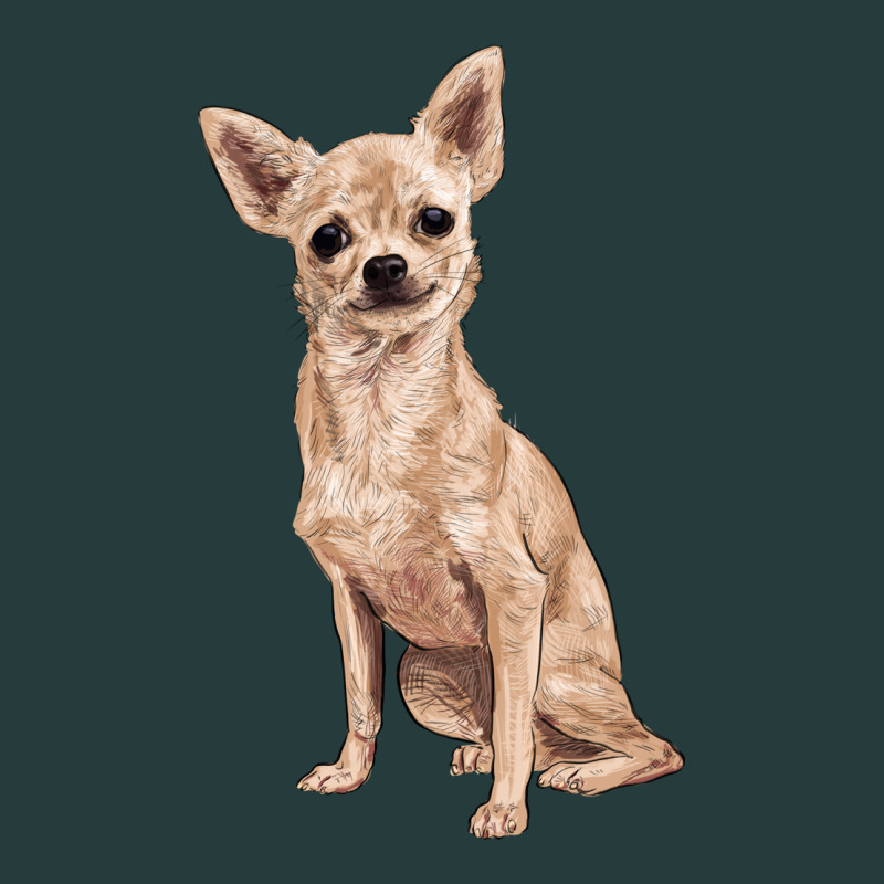 Chihuahua Premium Hoodie by RanaPortraitStore | Teevron