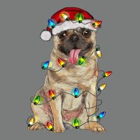 Pug With Christmas Lights Premium Hoodie | Teevron