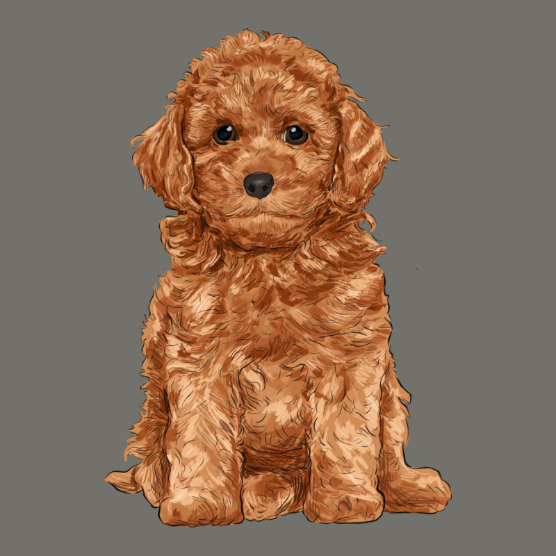 Toy Poodle Premium Hoodie by RanaPortraitStore | Teevron