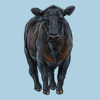 Black Angus Cattle Premium Hoodie | Teevron