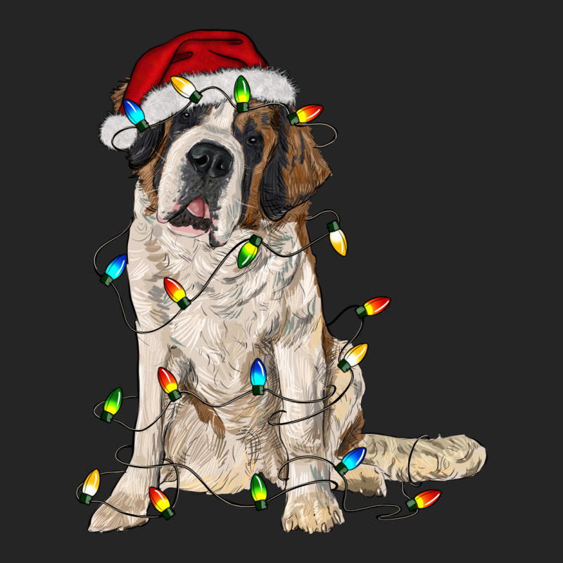 Saint Bernard With Christmas Lights Premium Hoodie by RanaPortraitStore | Teevron