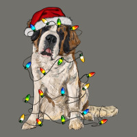Saint Bernard With Christmas Lights Premium Hoodie | Teevron