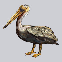 Louisiana State Bird Pelican Classic Tee | Teevron