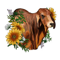 brahman bull with sunflowers | Teevron