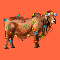 Brahman Bull With Christmas Lights Premium Hoodie | Teevron