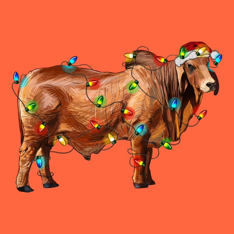 Brahman Bull With Christmas Lights Premium Hoodie by RanaPortraitStore | Teevron