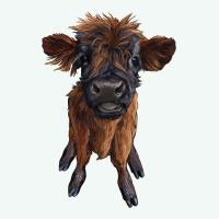 Highland Cow Calf Premium Hoodie | Teevron