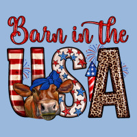 Barn In The Usa Premium Hoodie | Teevron