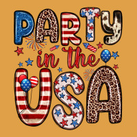 Party In The Usa Premium Hoodie | Teevron