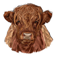 highland cow | Teevron