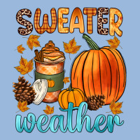 Bonfires Flannels S'mores Campfires And Pumpkins Premium Hoodie | Teevron