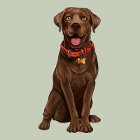 Chocolate Lab Labrador Retriever Ladies Tee | Teevron