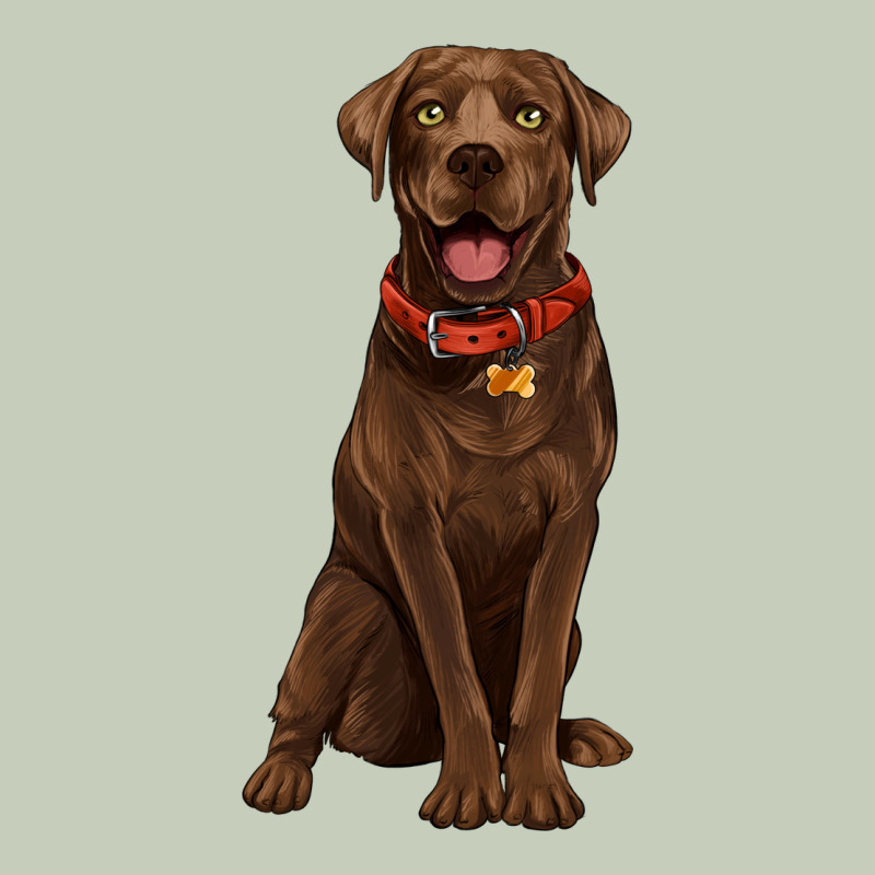 Chocolate Lab Labrador Retriever Ladies Tee by Artiststas | Teevron