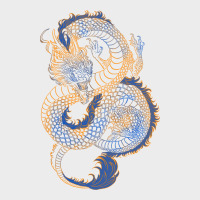 Blue And Orange Dragon Urban Hoodie | Teevron