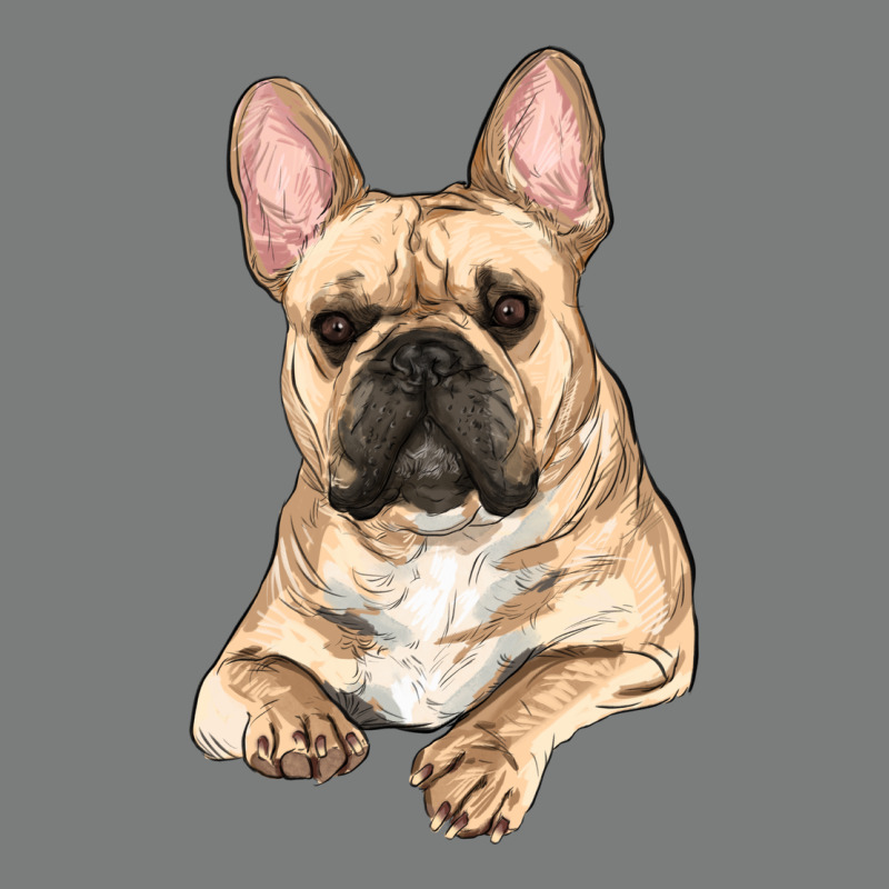 French Bulldog Sitting Premium Hoodie by RanaPortraitStore | Teevron