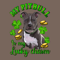 St Patricks Day My Pitbuli My Lucky Charm Premium Hoodie | Teevron