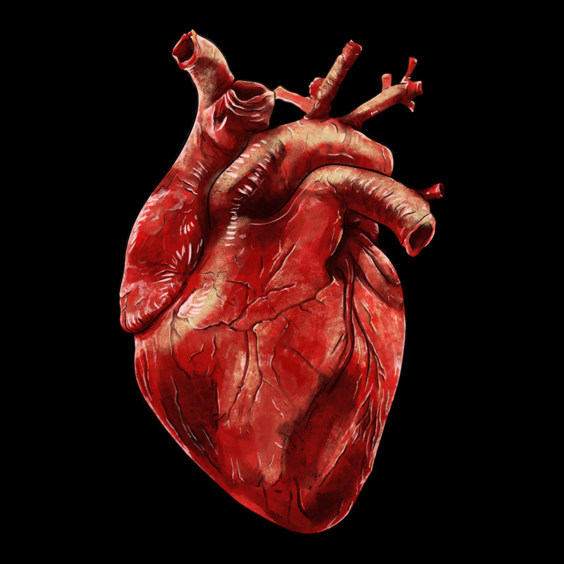Anatomical Heart Urban Hoodie by RanaPortraitStore | Teevron
