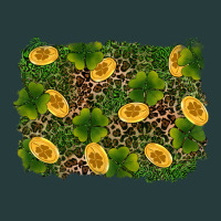 St Patricks Day Background Premium Hoodie | Teevron
