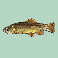 Arizona Apache Trout Fish Classic Tee | Teevron