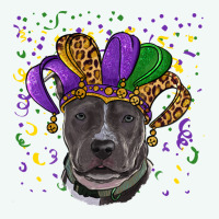 Mardi Gras Pitbull Premium Hoodie | Teevron