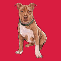 Brown Pitbull Premium Hoodie | Teevron