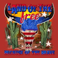 Land Of The Free Because Of The Brave Premium Hoodie | Teevron