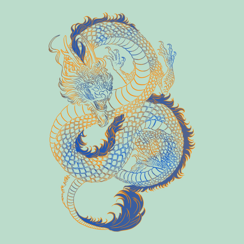 Blue And Orange Dragon Premium Hoodie by RanaPortraitStore | Teevron