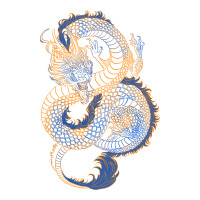 blue and orange dragon | Teevron
