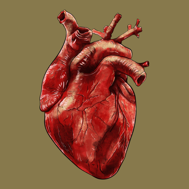 Anatomical Heart Premium Hoodie by RanaPortraitStore | Teevron