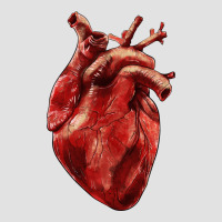 Anatomical Heart Premium Hoodie | Teevron