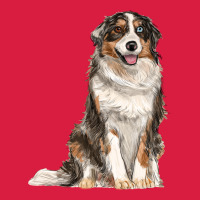 Australian Shepherd Premium Hoodie | Teevron