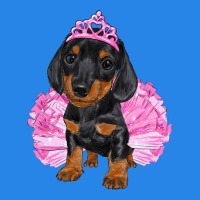 Balerina Dachshund With Tutu Premium Hoodie | Teevron